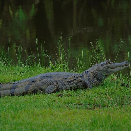 Hotel Reserva De Piedemonte La Palmera Kültér fotó