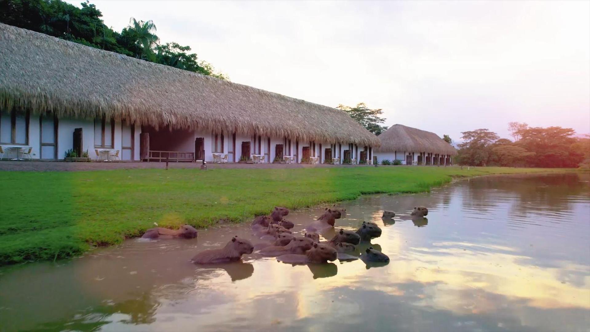 Hotel Reserva De Piedemonte La Palmera Kültér fotó
