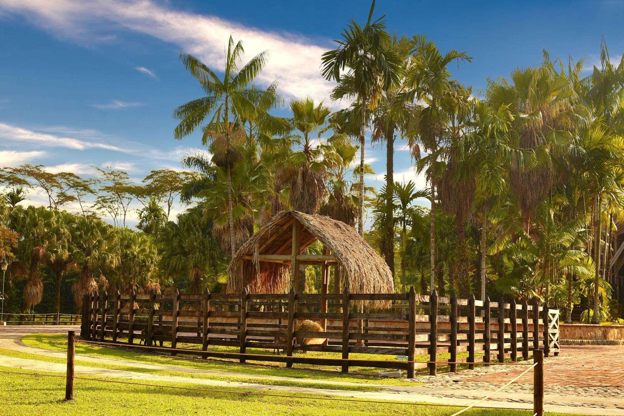 Hotel Reserva De Piedemonte La Palmera Kültér fotó