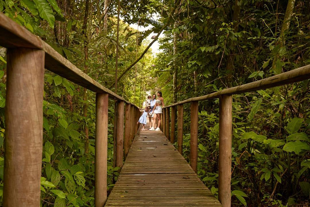 Hotel Reserva De Piedemonte La Palmera Kültér fotó