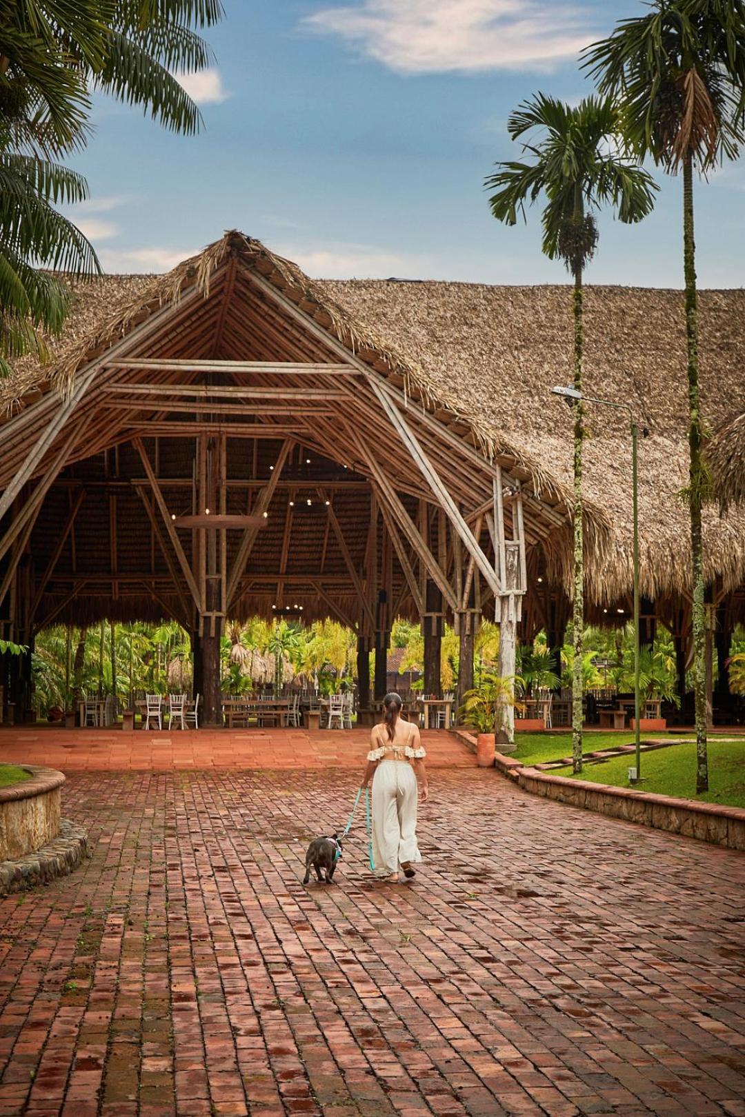 Hotel Reserva De Piedemonte La Palmera Kültér fotó